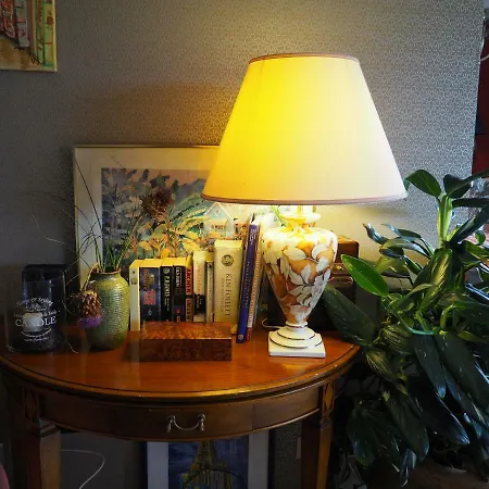 Golden Treasure Deluxe 뮌스터