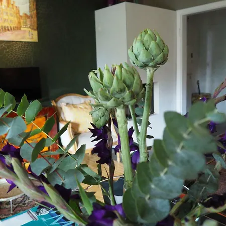 Golden Treasure Deluxe 뮌스터