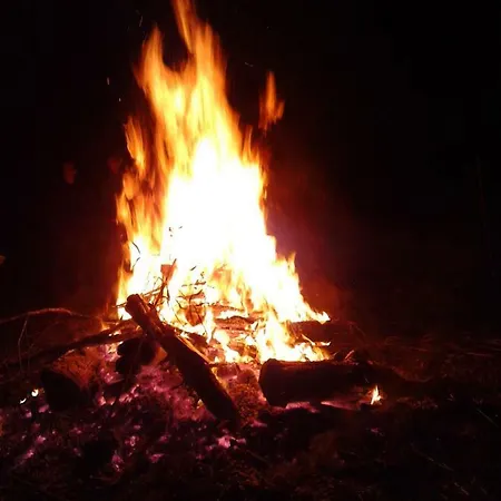 Golden Treasure Deluxe *