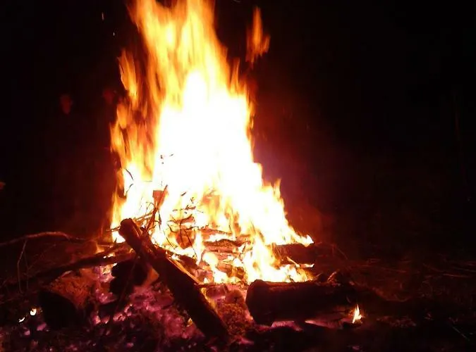 Golden Treasure Deluxe *